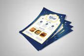 Preview1 Flyer 72