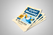 Preview1 Flyer 8