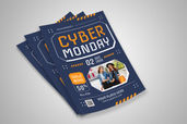 Preview2 Flyer 11