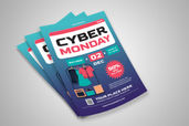 Preview2 Flyer 3