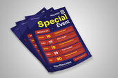 Preview2 Flyer 66