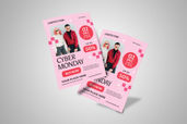 Preview3 Flyer 12