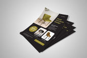 Preview1 Flyer 168