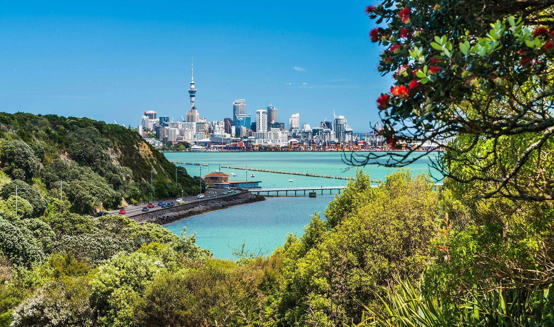 Shipping to New Zealand banner