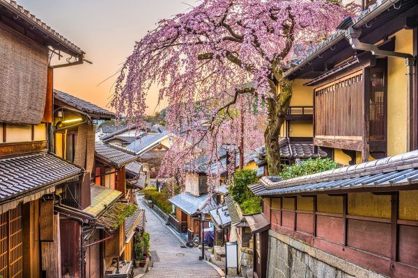 Japan---Kyoto-Street-with-Sakura---902966276