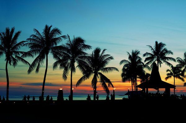 Malaysia---Silhouetted-palm-trees---845449990