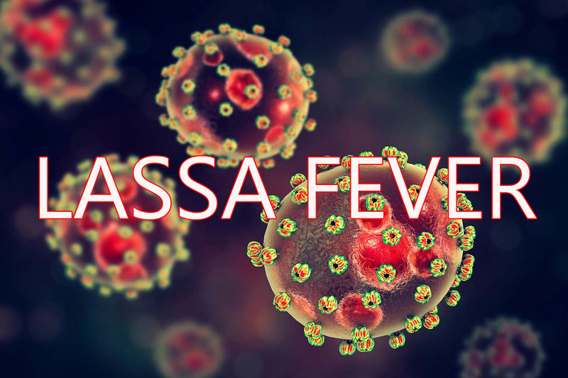 lassa fever media errands