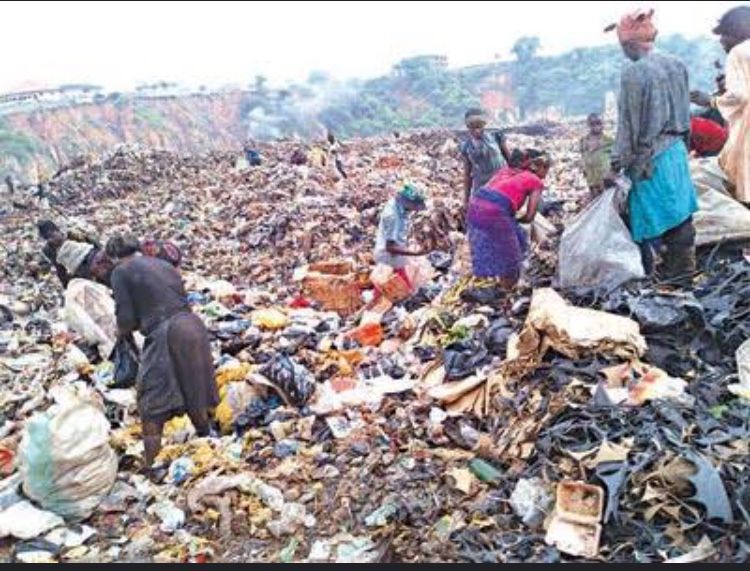 7845319D-E9FD-4D30-B1C6-4CFBE0A8F794