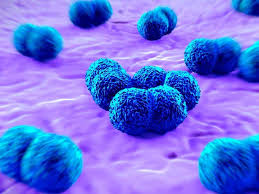 Meningitis Mediaerrandsnews