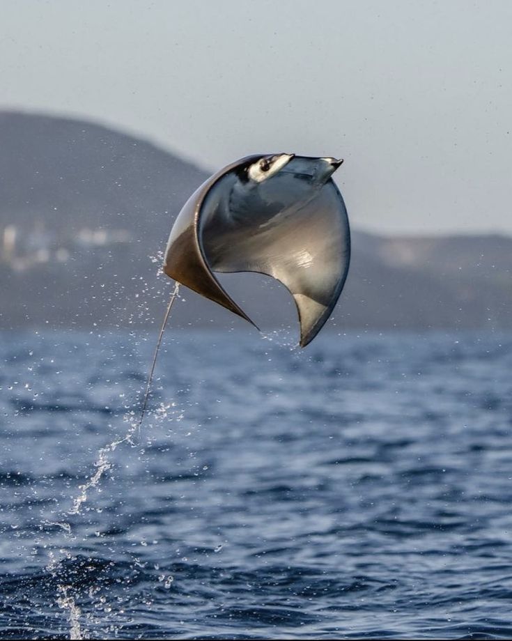 7b0fa3bb62816703776777dc3993125f