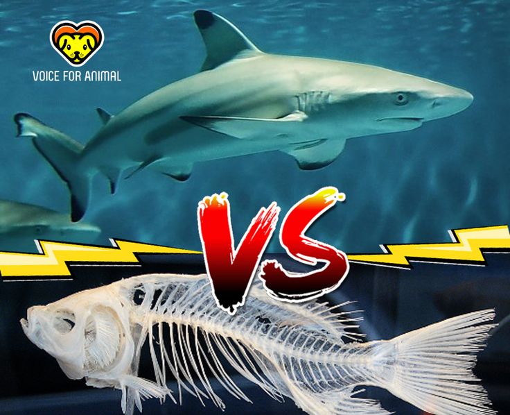 9c38a4297df17304c3d6db7d013ad0b2