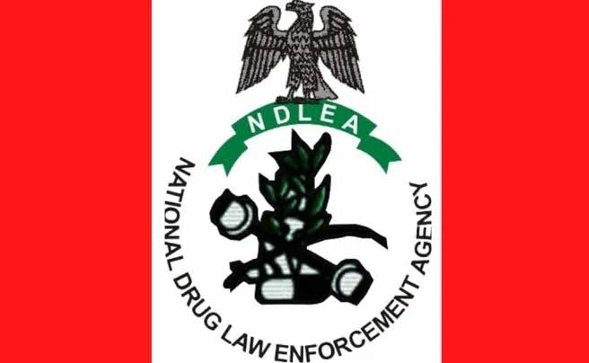 NDLEA