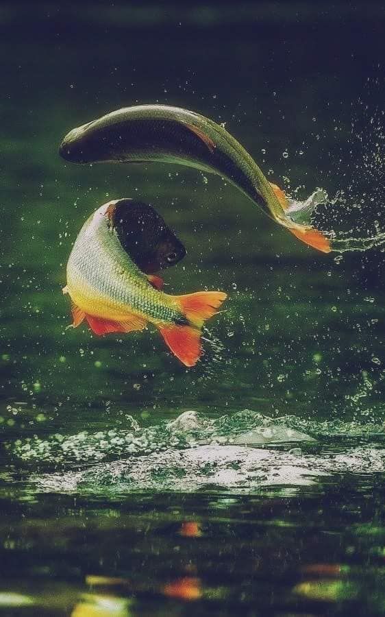 d7c42b7f436198fbbc5dbe6190cdb7a8