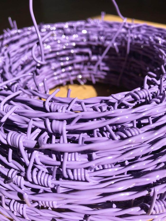 Go to portfolio item Barbiewire