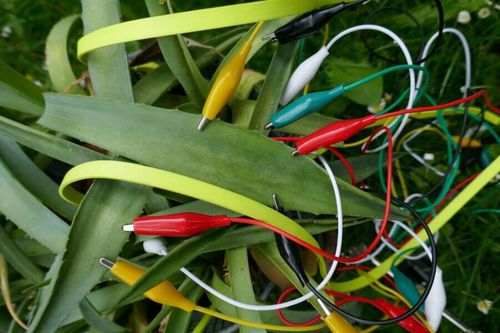 Go to portfolio item Wandlungen