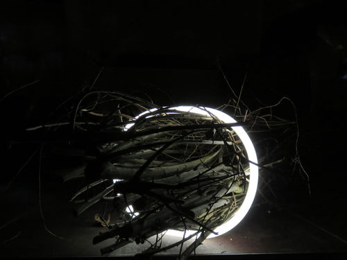 Go to portfolio item FLUO RING, INSTALLATION