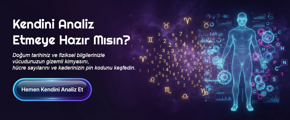 Doğum tarihiniz, cinsiyetiniz, boyunuz ve kilonuz ile ilgili değişik işlemler yaparak çok enteresan sonuçlar ortaya koyan web tabanlı program