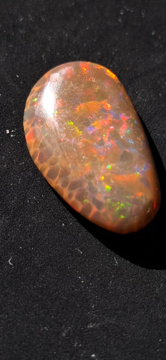 19.75 Ct Natural Ethiopian Wollo Opal