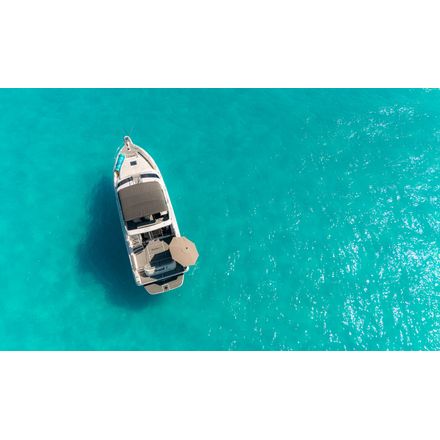 Necessity