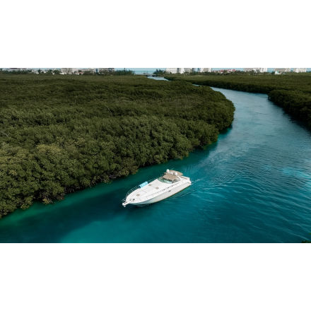 Seafari