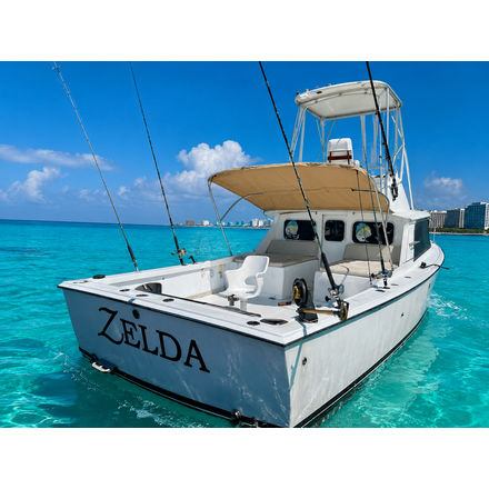 Zelda - Bertram 31
