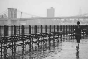 servizi specialistici ambientali