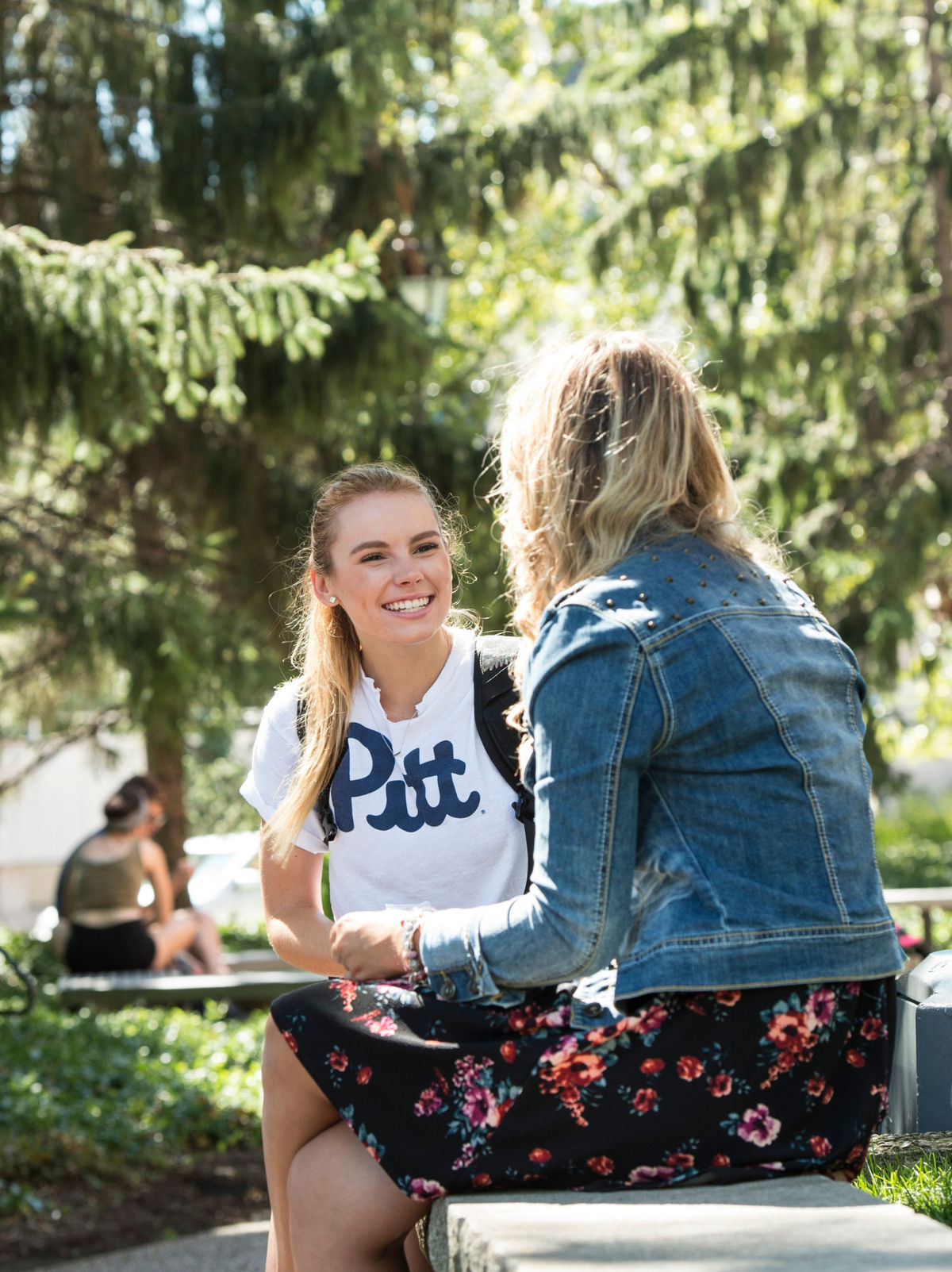 Two students chatting on a bench on a sunny campus.