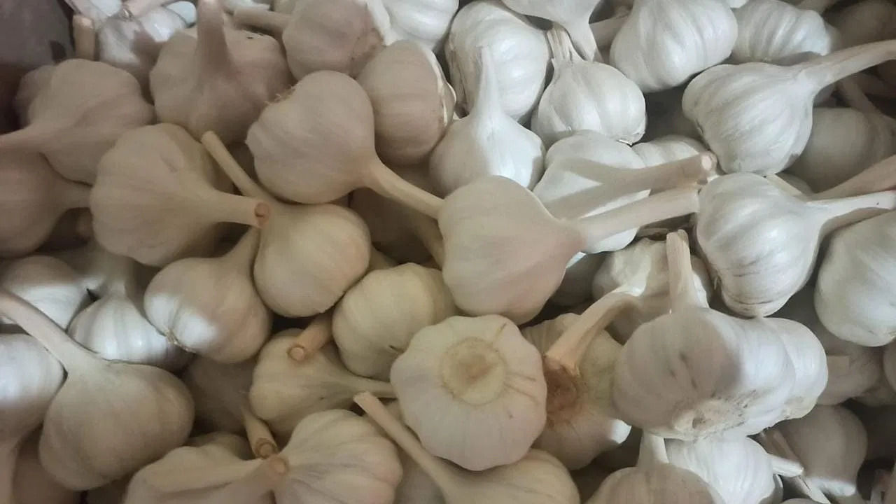 Eat 2 cloves of raw garlic at this time and get health benefits