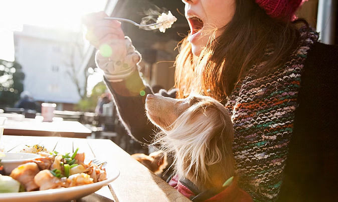 WORLD CANCER DAY 2024: વર્લ્ડ કેન્સર ડે 2024: જો તમને પણ આવી ખરાબ આદતો હોય તો સાવચેત રહો, કેન્સરનું જોખમ વધી શકે છે. 4 eating 1477034795