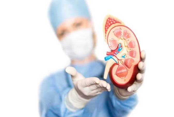 High Blood Pressure: શું તમારું પણ વારે ઘડીએ વધી જાય છે હાઈબ્લડ પ્રેશર? શું આની કિડની પર પણ નકારાત્મક અસર થઈ શકે છે?