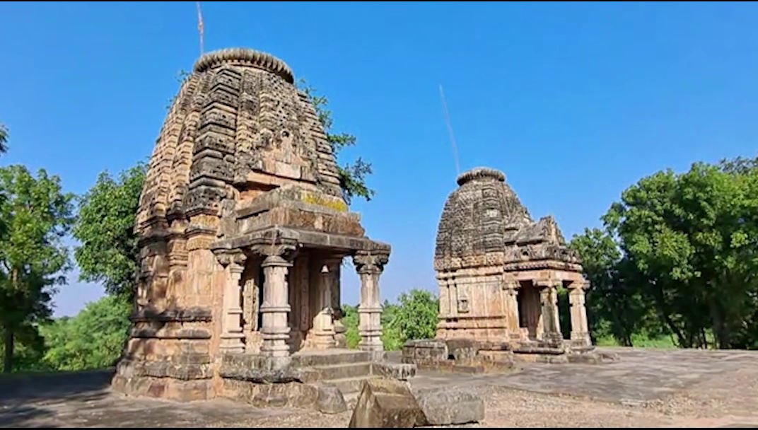 જાણો ગુજરાતમાં ક્યાં આવેલું છે ભારતનું એકમાત્ર પક્ષી મંદિર