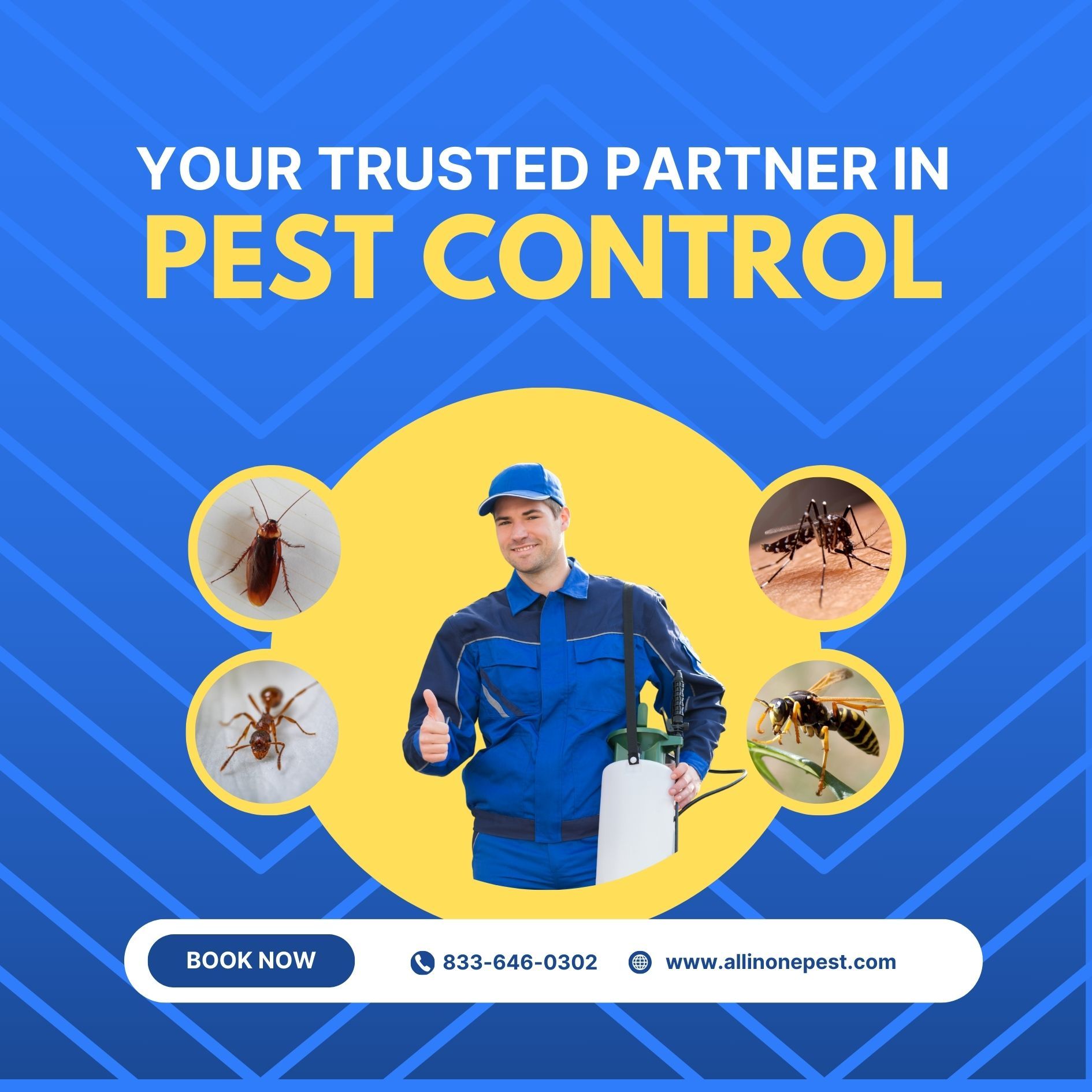 Pest Management Solutions in Potomac, MD