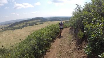 Indian Creek Trail Runs Image