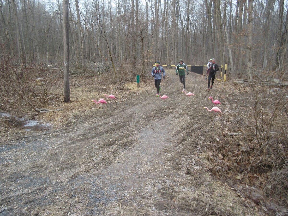 HARRC's Tuscarora Trails Ultra 50K Blain , PA 03/28/20