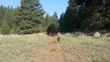 Paiute Meadows Trail Run Image