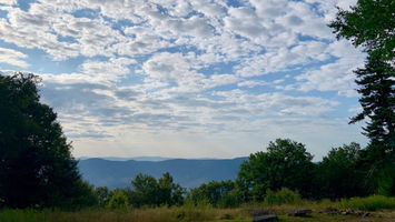 Wild Turkey Trail Runs Image
