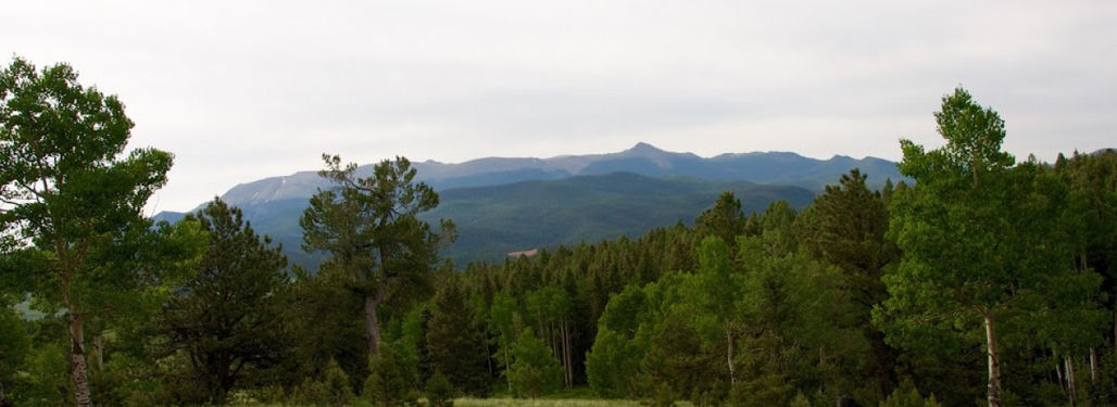 Rolling green meadows and incredible views of Pikes Peak!