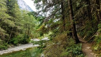 Middle Fork Trail Run Image
