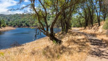 Folsom Lake Sweet Water Trail Run Image