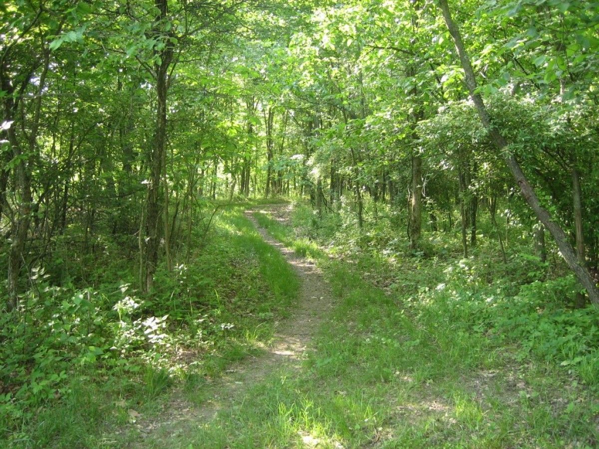 Farmdale Trail Run East Peoria , IL 10/12/24