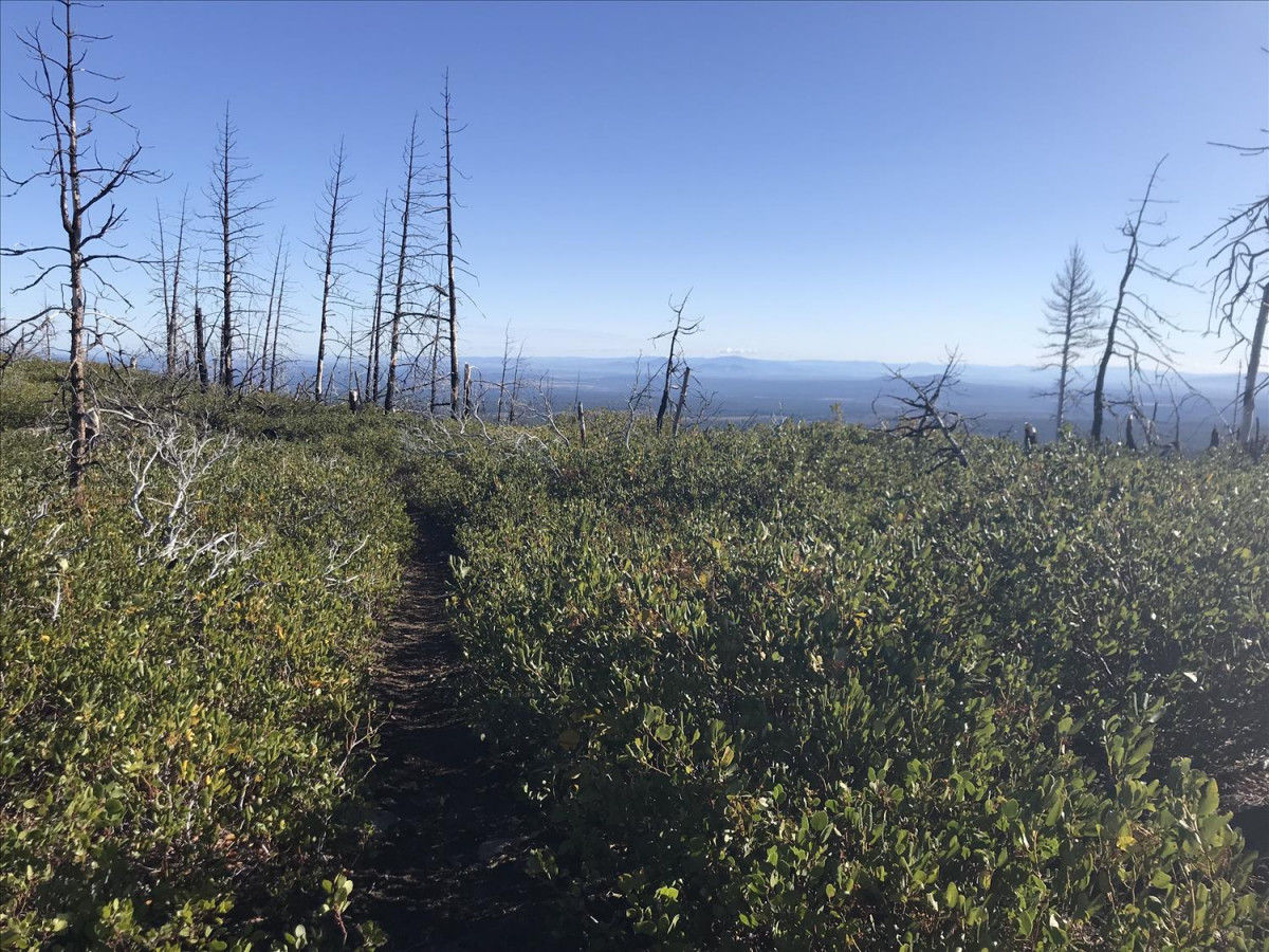 2023 Oregon Cascades 100 Results (100 Miles)