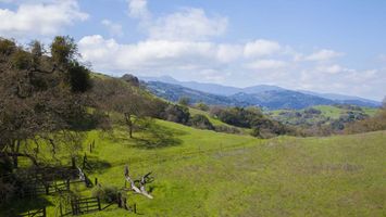 Calero Trail Run - December Image