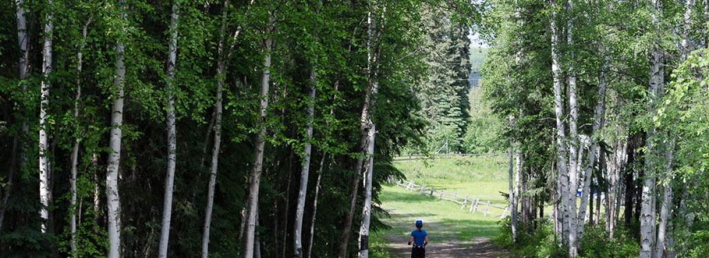 Beginning another loop on the UAF West Ridge Trails