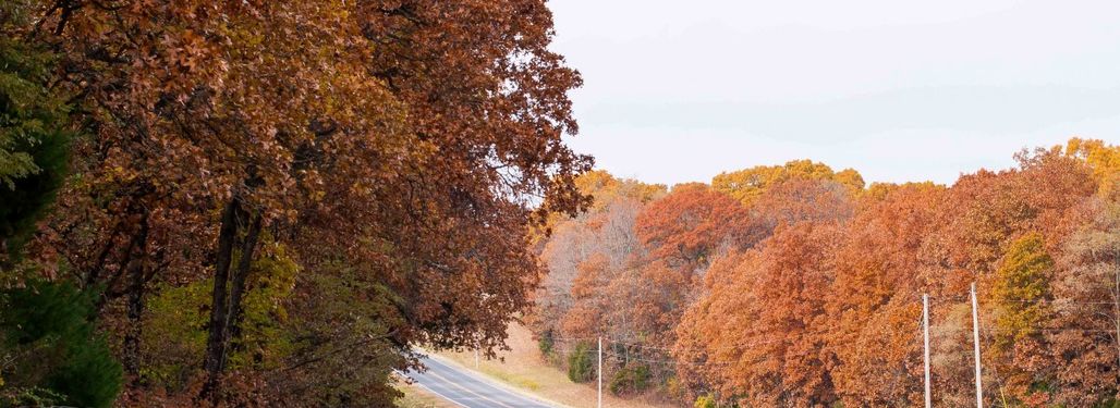 The Beautiful Rolling hills of Sand Ridge State Forest