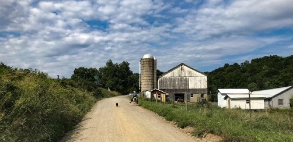 Free camping at the beautiful farmhouse; race finishes here!