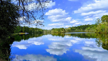 Sandhills Trail & Ultra Festival Image