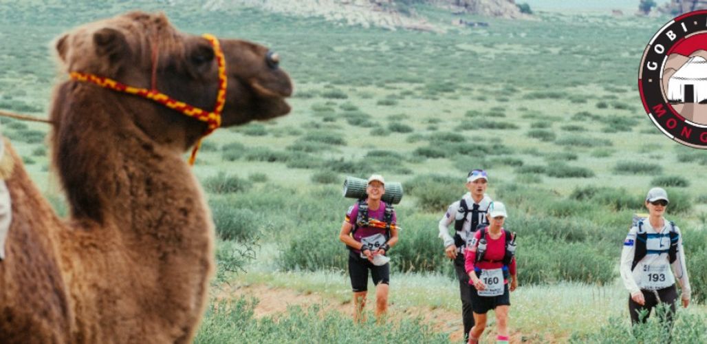 Gobi March (Mongolia) 2019