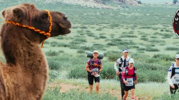 Gobi March (Mongolia) Image