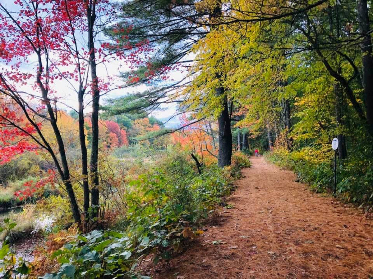 Ghost Train Trail Races Brookline , NH 10/19/24