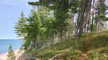 Two Hearted Trail Run Image